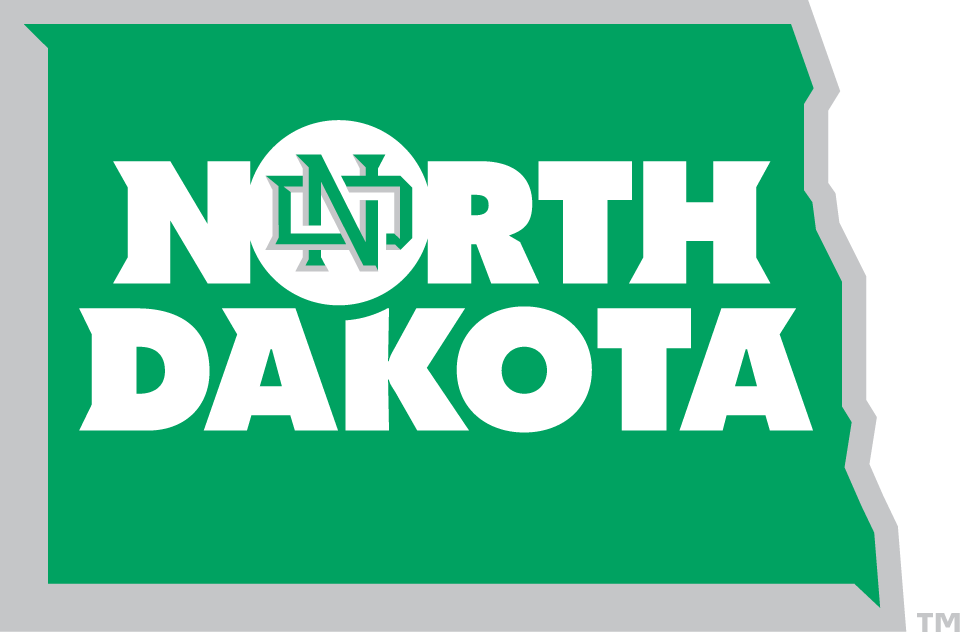 North Dakota Fighting Hawks 2012-2015 Alternate Logo v2 iron on transfers for T-shirts